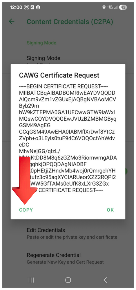 Proofmode dialog showing the CAWG Certificate Request text with the Copy button highlighted