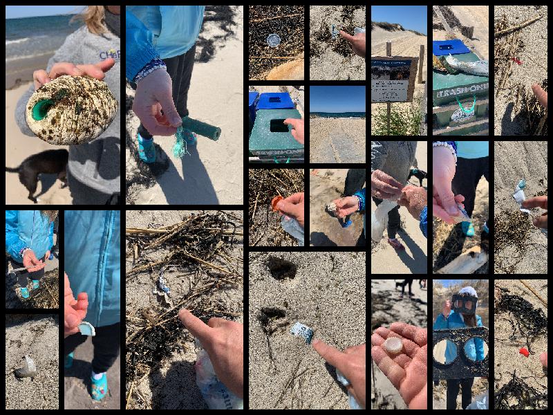 a collage of photos of trash collected on the beach