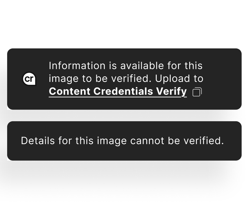 Two message banners: 'Information is available for this image to be verified. Upload to Content Credentials Verify' and 'Details for this image cannot be verified.'